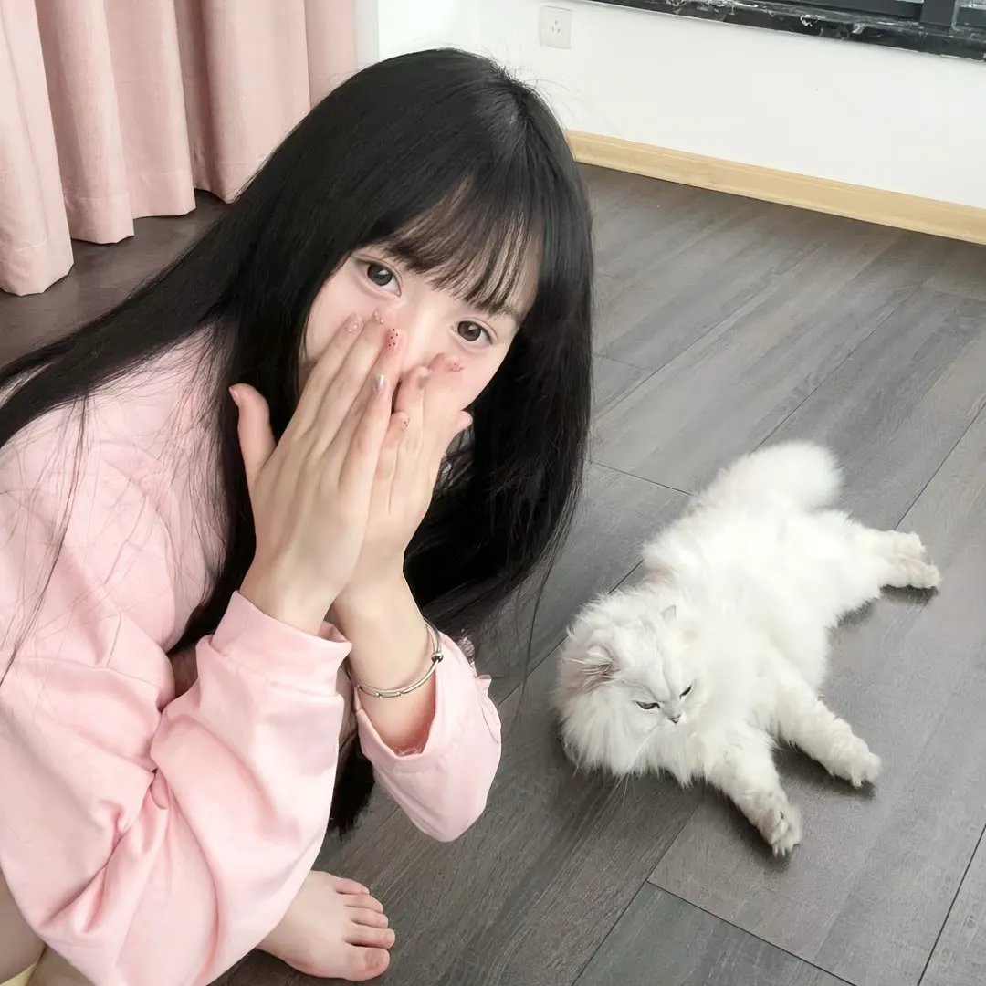 猫公主苏菲
