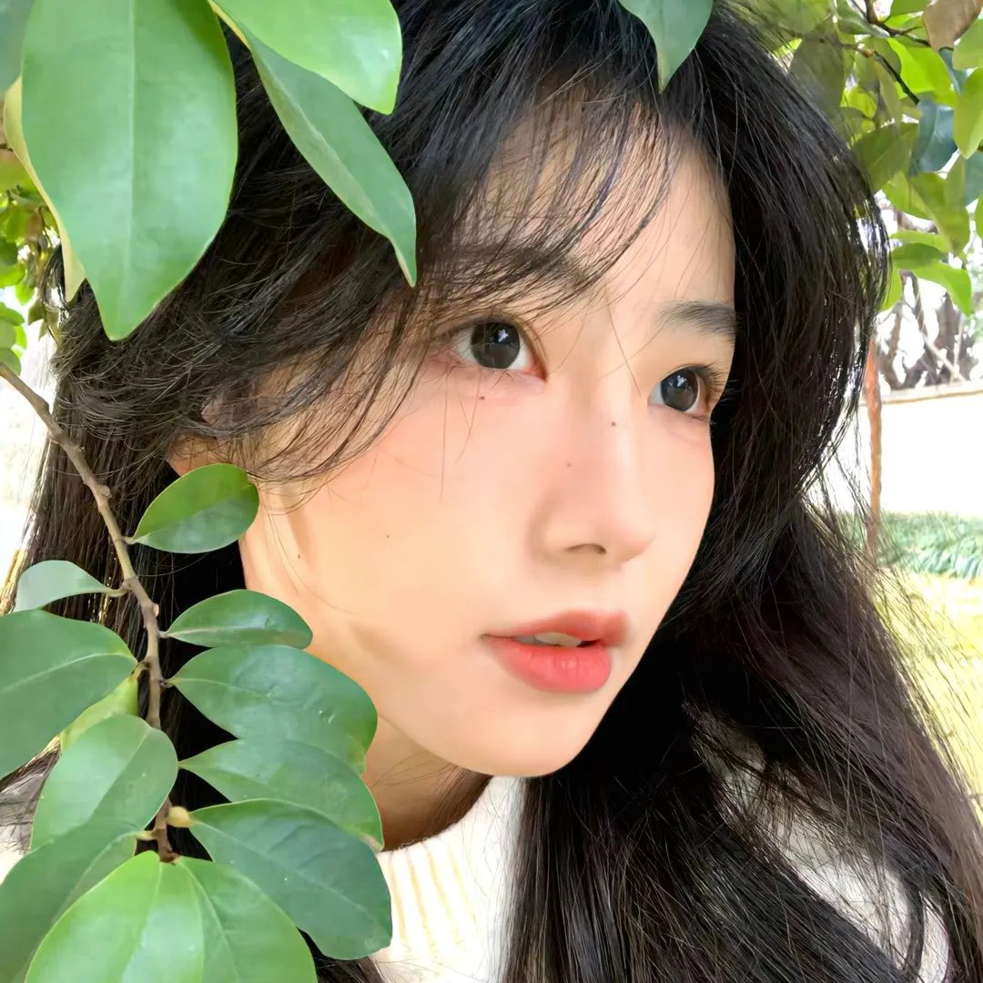 暗夜女巫 在线观看